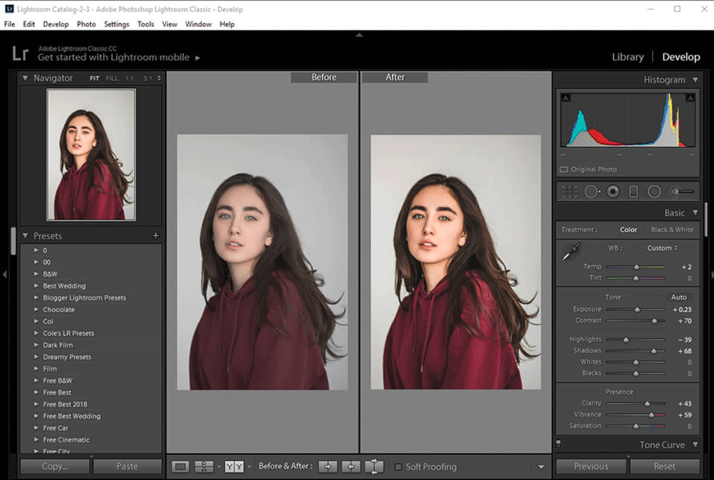 Lightroom-CC-Online-Tool The Ultimate Guide to Free Photo Editing Software